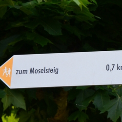 Wandern am Moselsteig