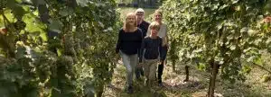 Mosel Weingut Ürzig Familie Erbes-Henn