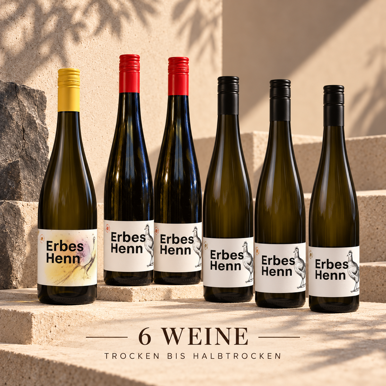 Sechs Weine von Erbes-Henn – Probierpaket von trocken bis halbtrocken